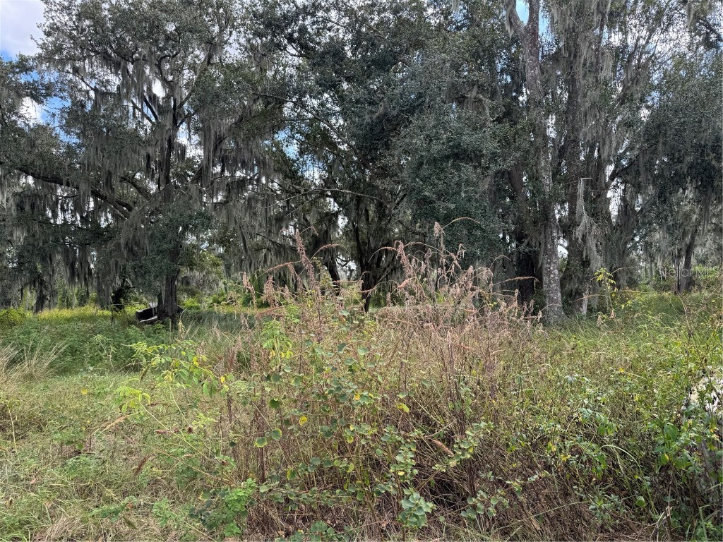 3721 Porter Road Lithia FL 33547 TB8443713 image9