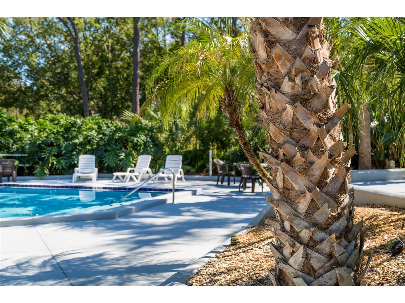 3721 S Lake Orlando Parkway #7 Orlando FL 32808 O6389845 image21
