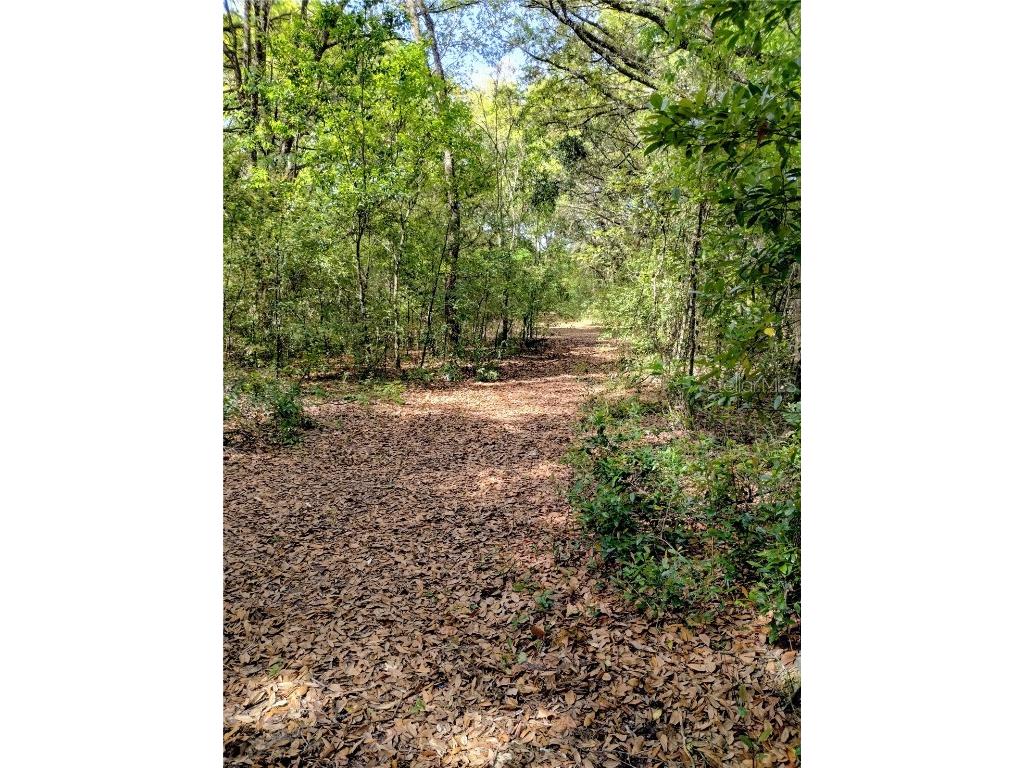 37212 Tucker Road Zephyrhills FL 33541 T3510563 image1