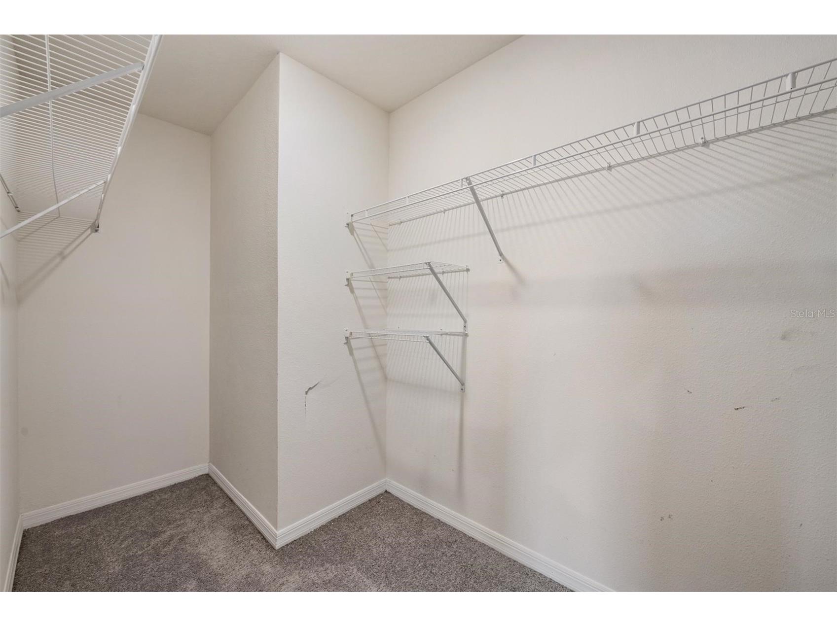 37214 Angel Wings Avenue Zephyrhills FL 33541 TB8478757 image16