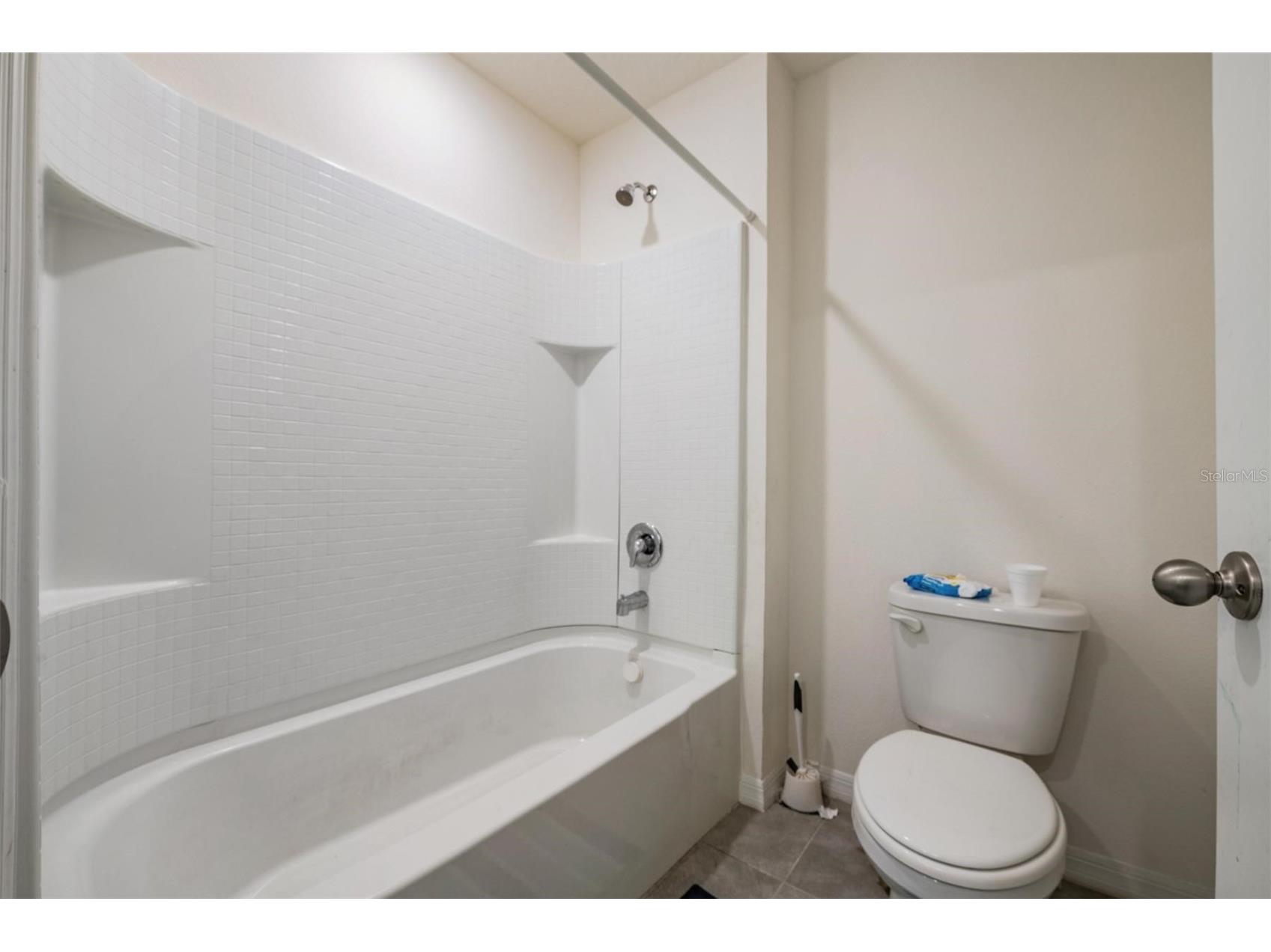37214 Angel Wings Avenue Zephyrhills FL 33541 TB8478757 image24