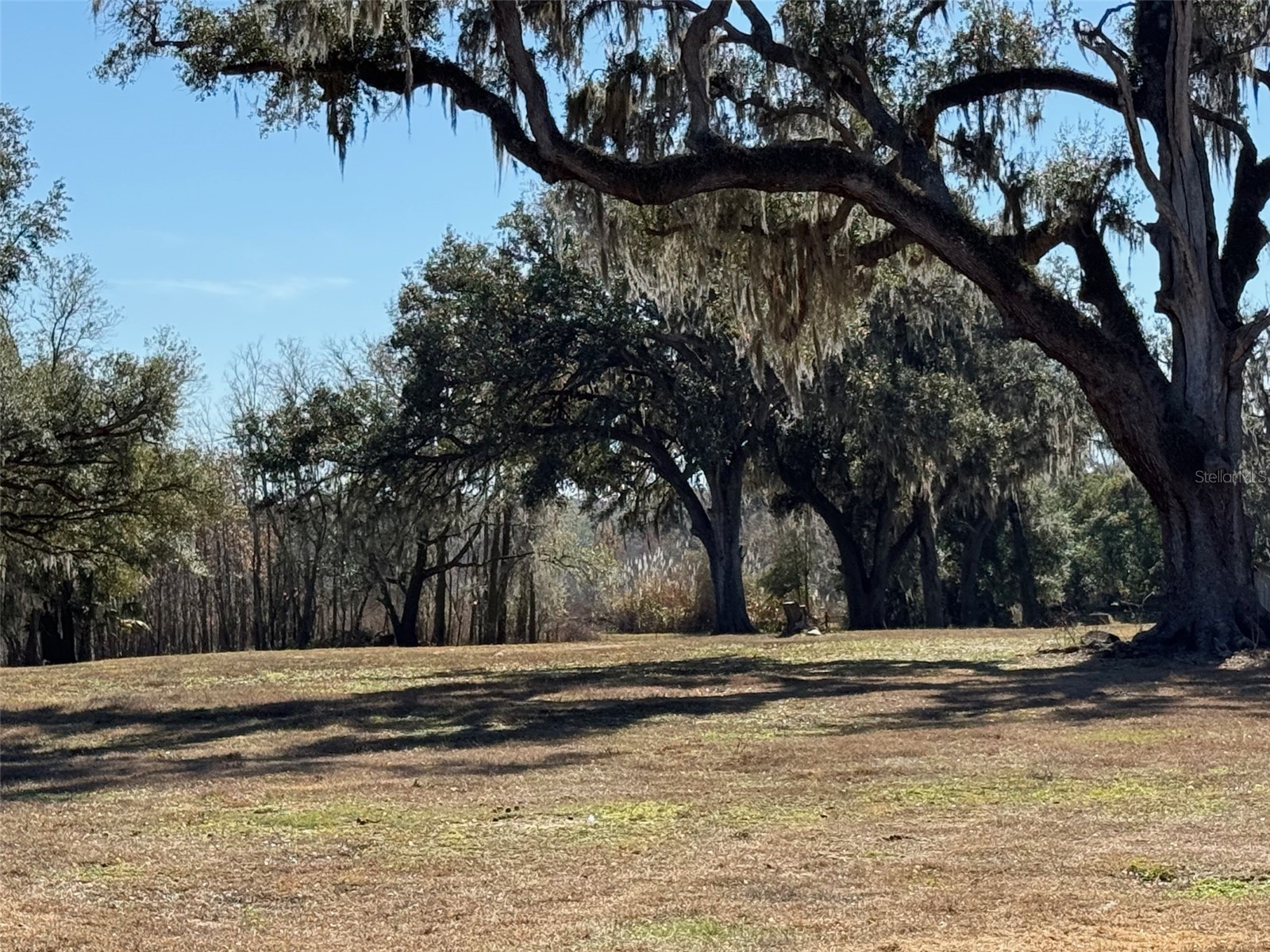 37214 Hester Road Dade City FL 33525 TB8498014 image3