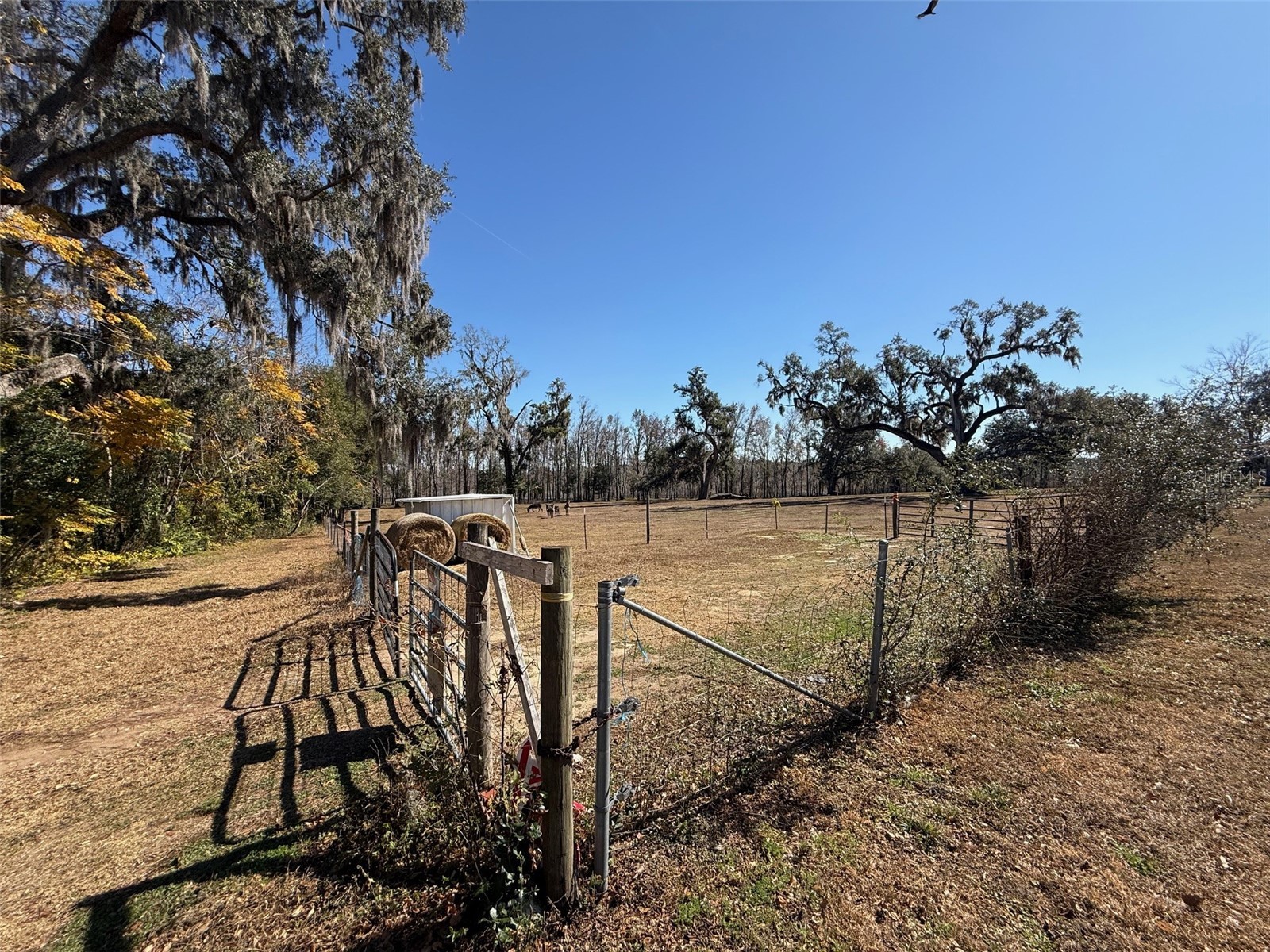 37214 Hester Road Dade City FL 33525 TB8498014 image5