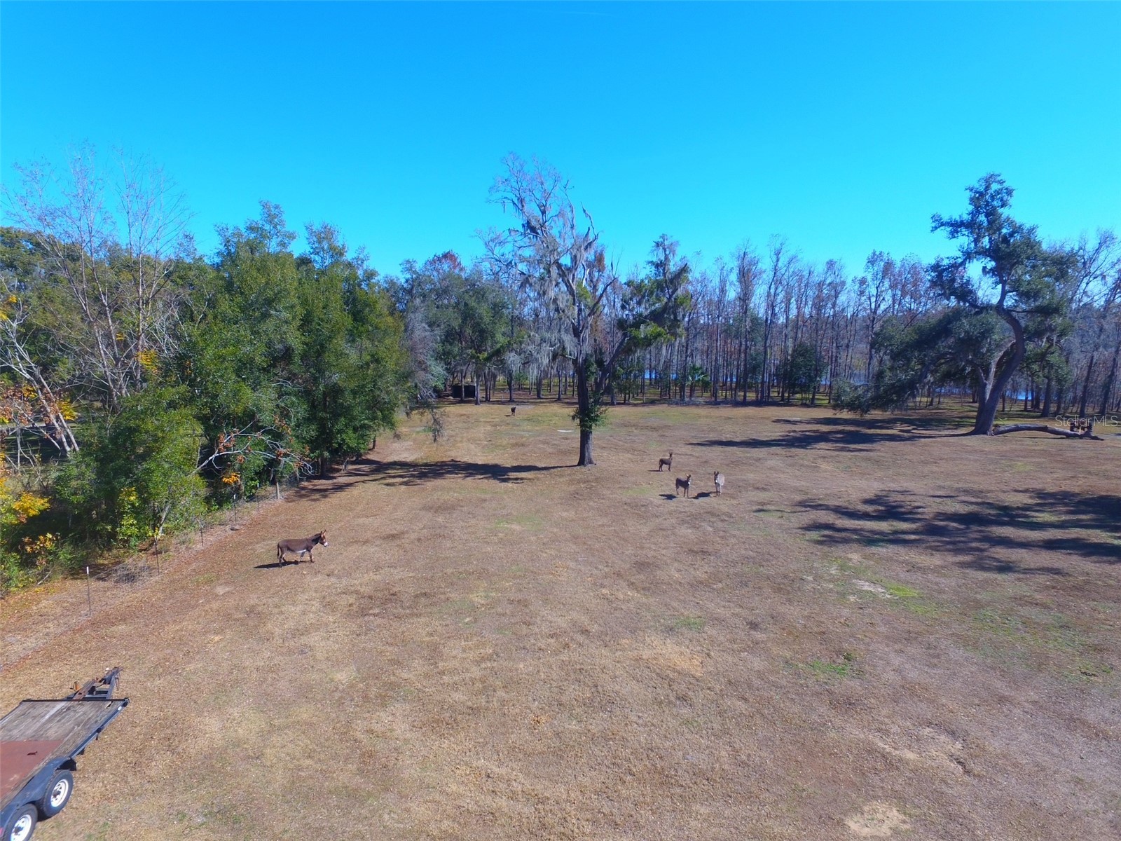 37214 Hester Road Dade City FL 33525 TB8498014 image8
