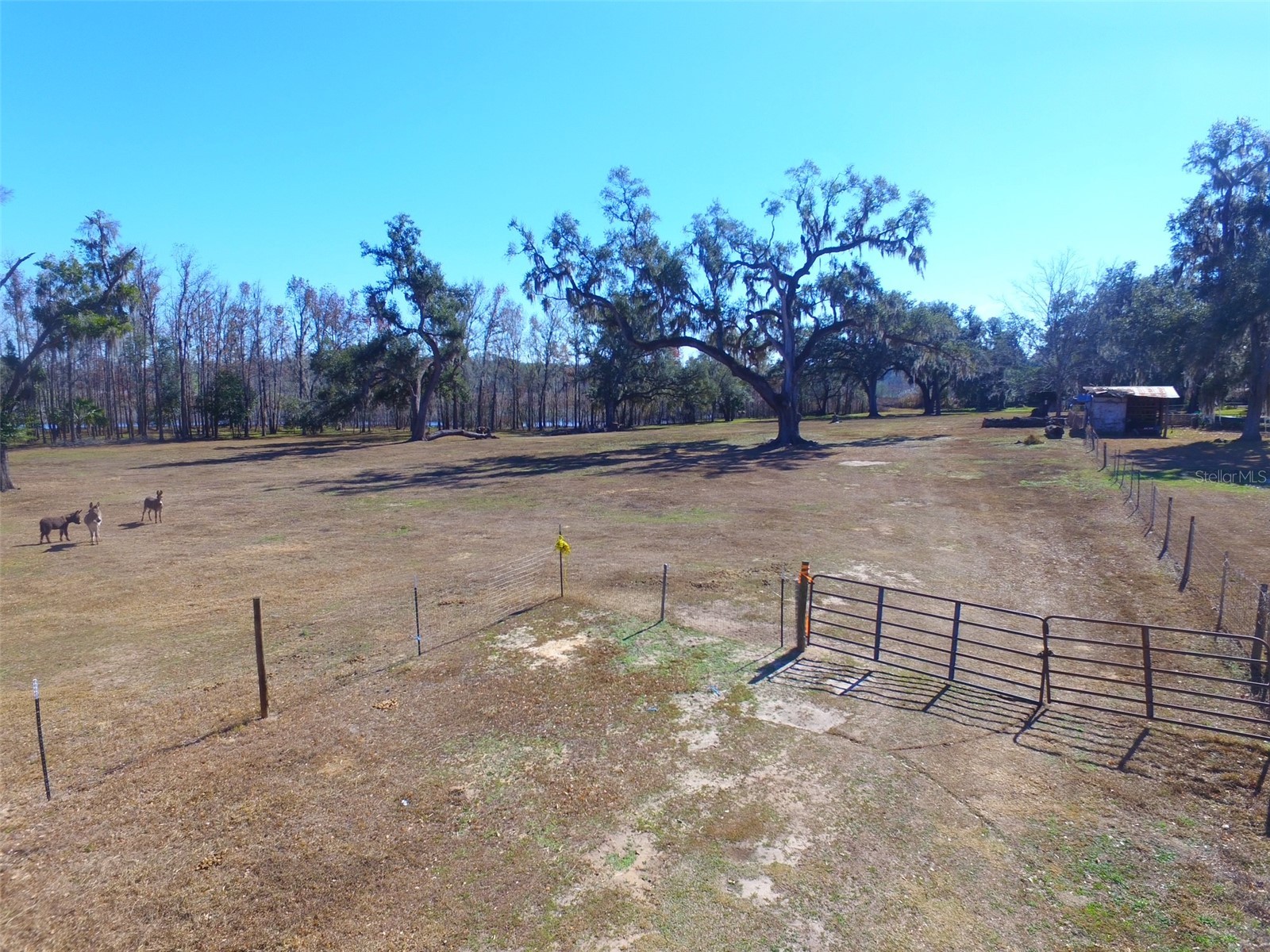 37214 Hester Road Dade City FL 33525 TB8498014 image9
