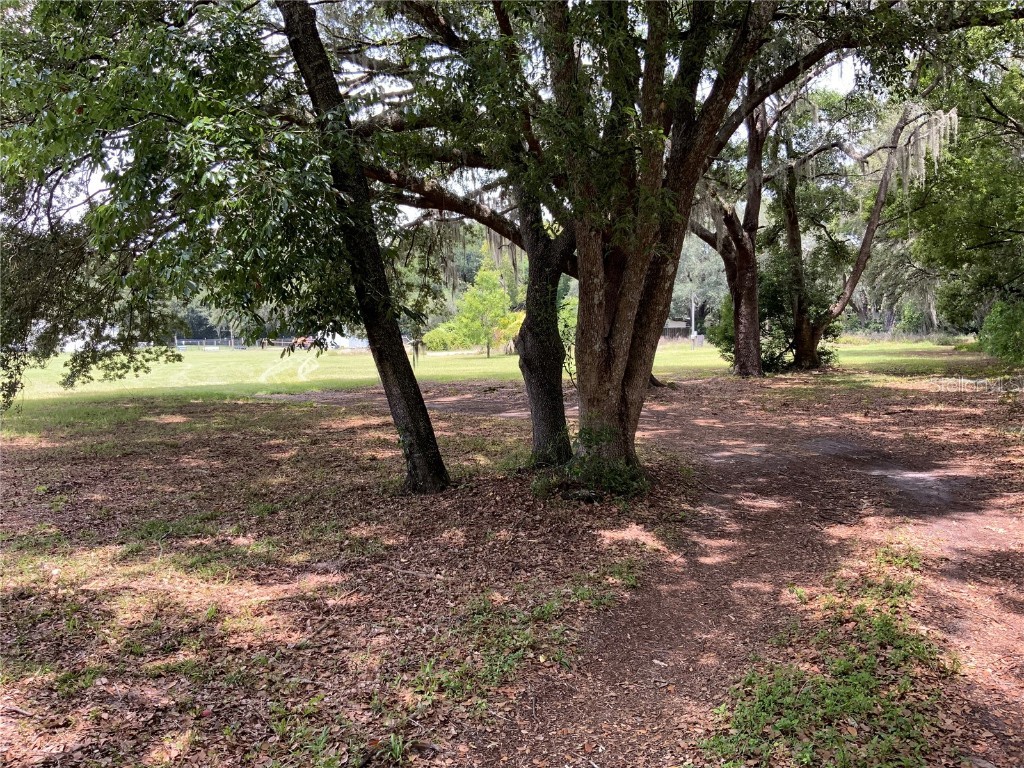 37219 Tucker Road, Zephyrhills, FL, 33541 MLS T3529330 Edina Realty