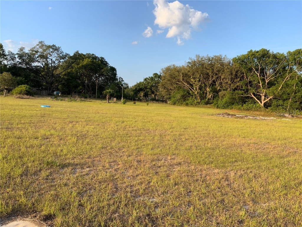 37219 Tucker Road Zephyrhills FL 33541 TB8381052 image1