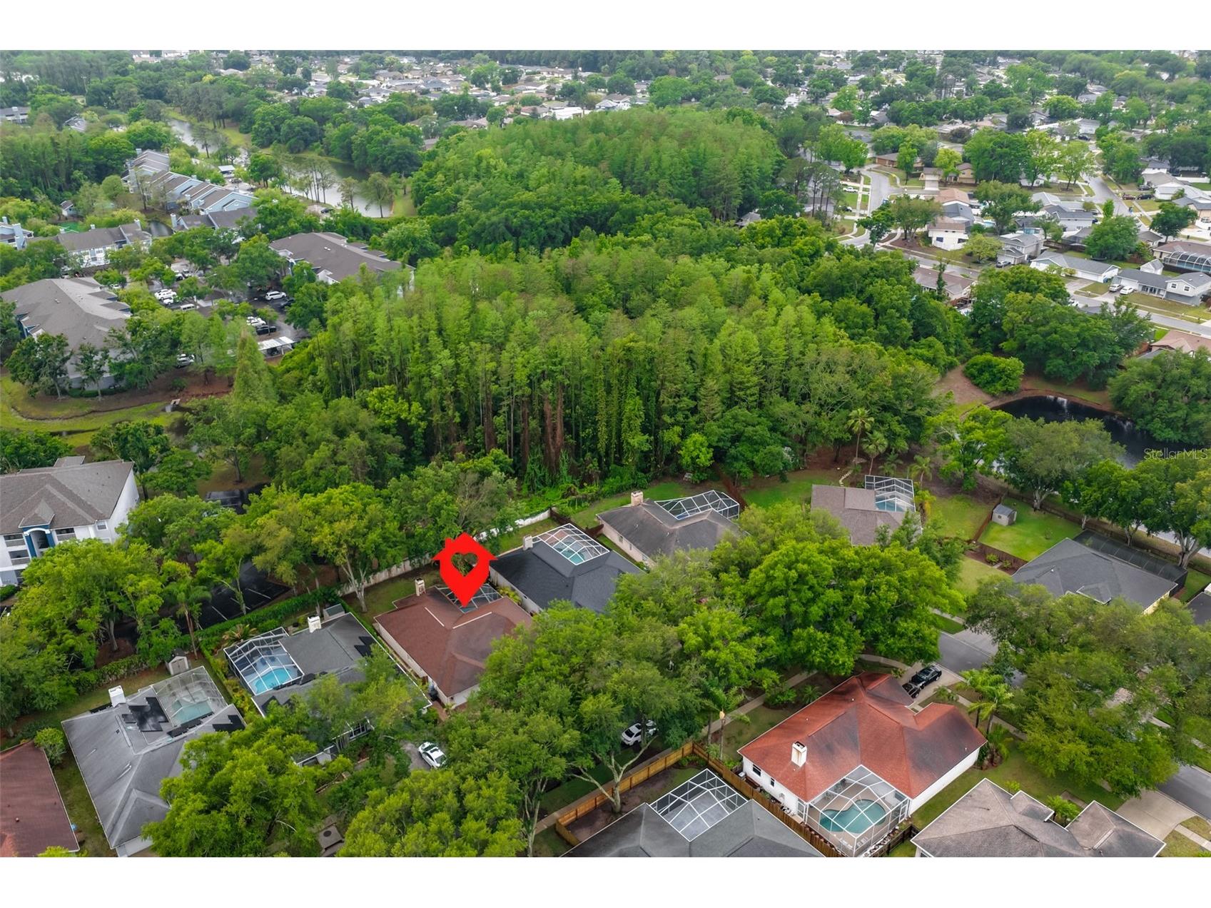 3722 Cypress Meadows Road Tampa FL 33624 TB8495277 image47