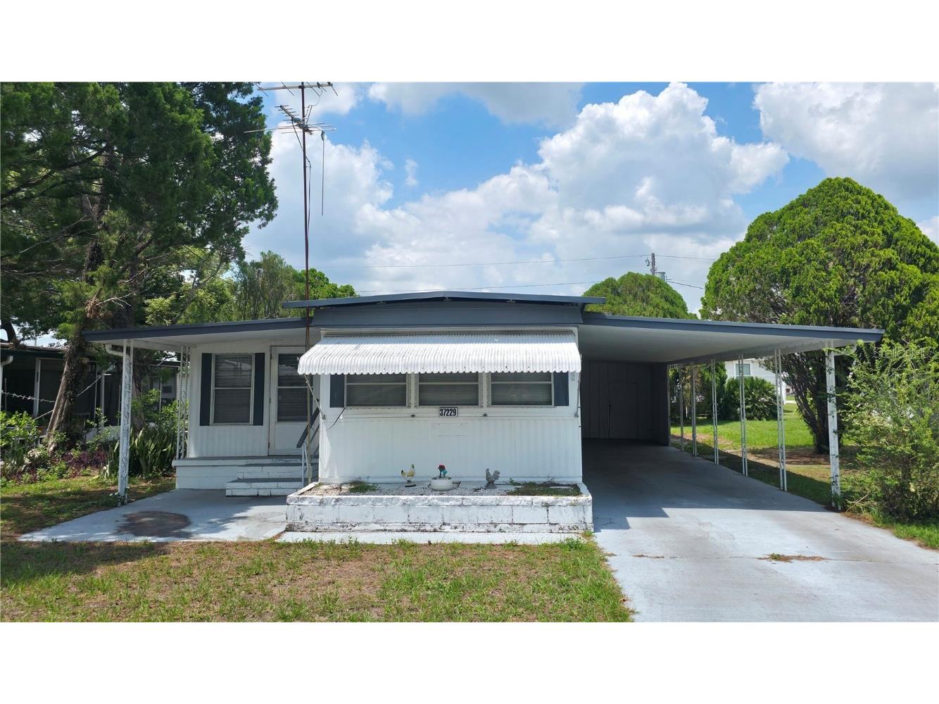 37229 Lois Avenue Zephyrhills FL 33542 TB8388126 image1