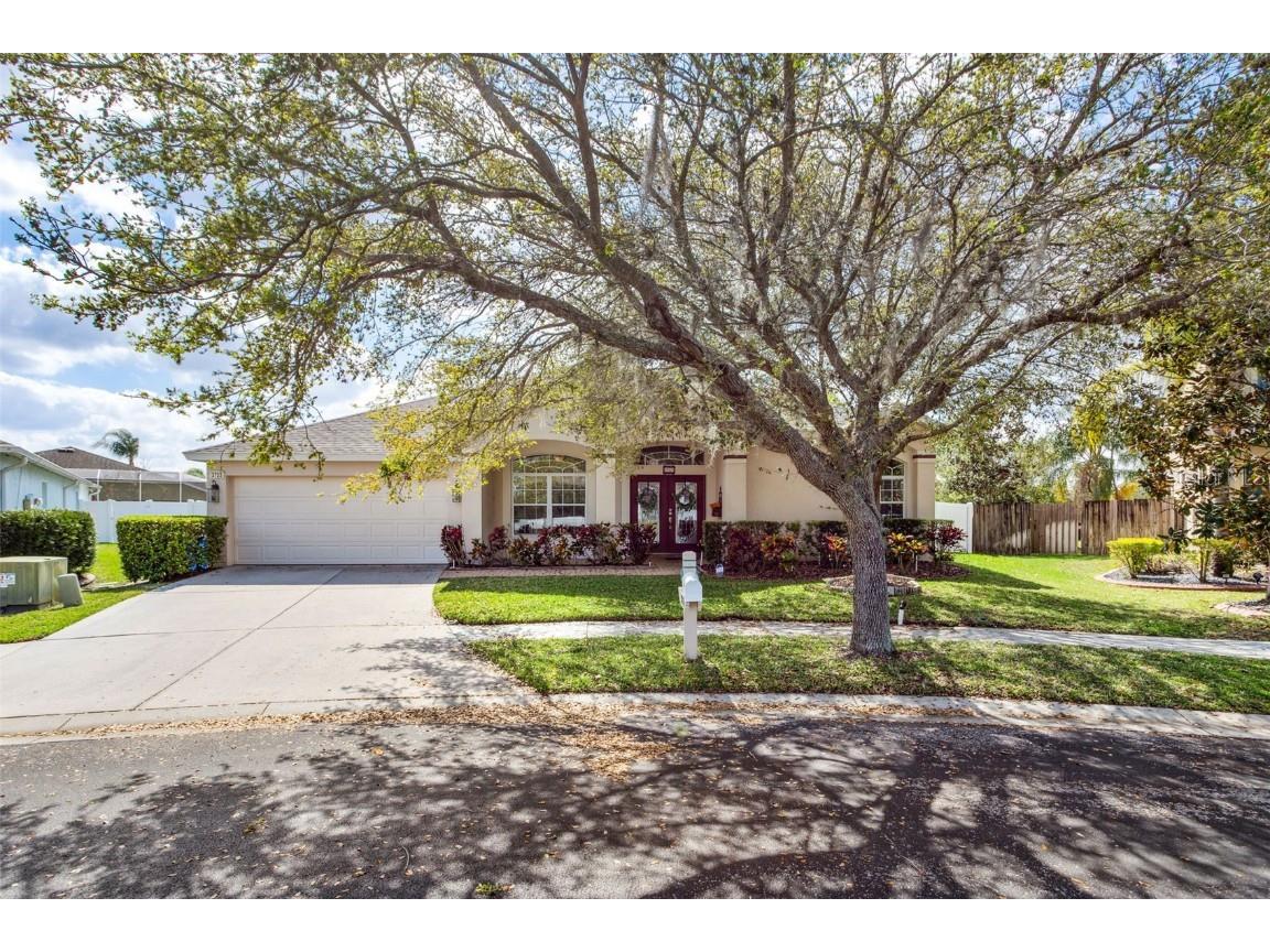 3723 Juneberry Drive Wesley Chapel FL 33543 T3431582 image1