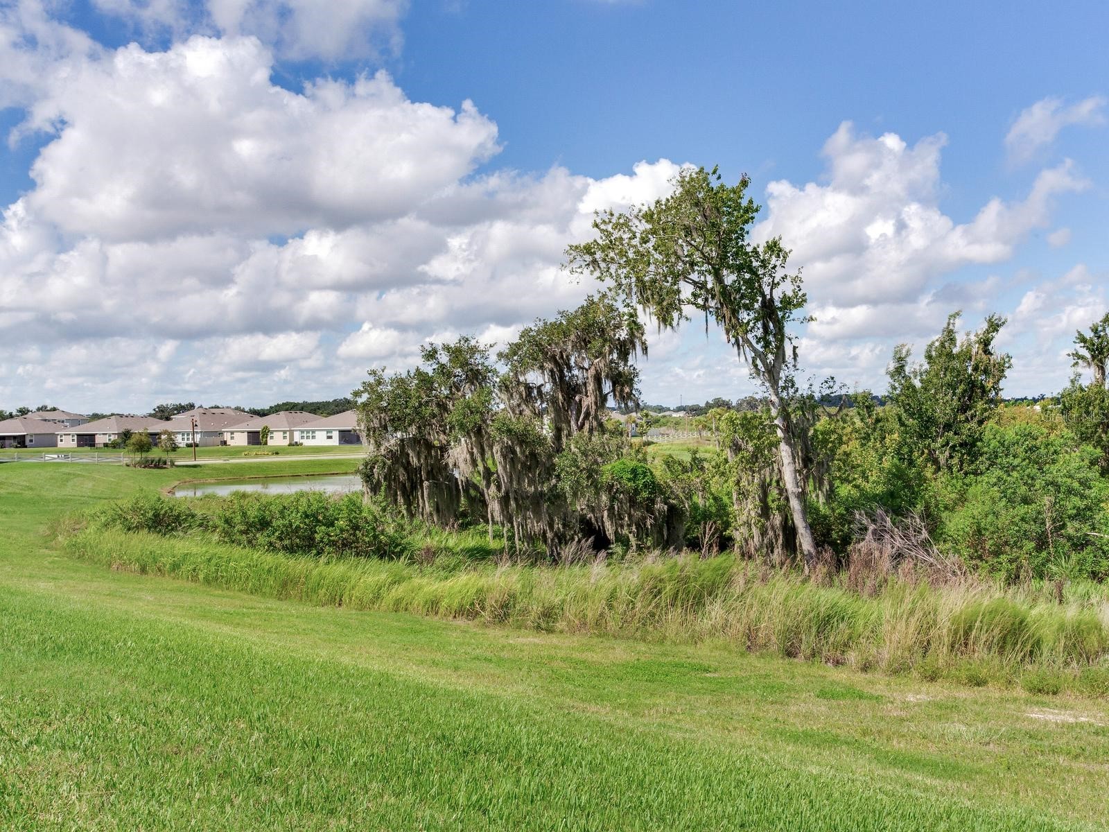 3723 Stormy Thistle Place Plant City FL 33565 TB8522742 image37