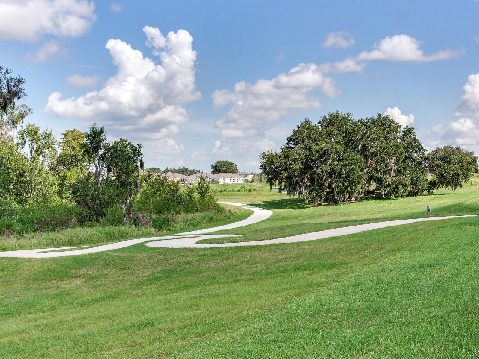 3723 Stormy Thistle Place Plant City FL 33565 TB8522742 image38