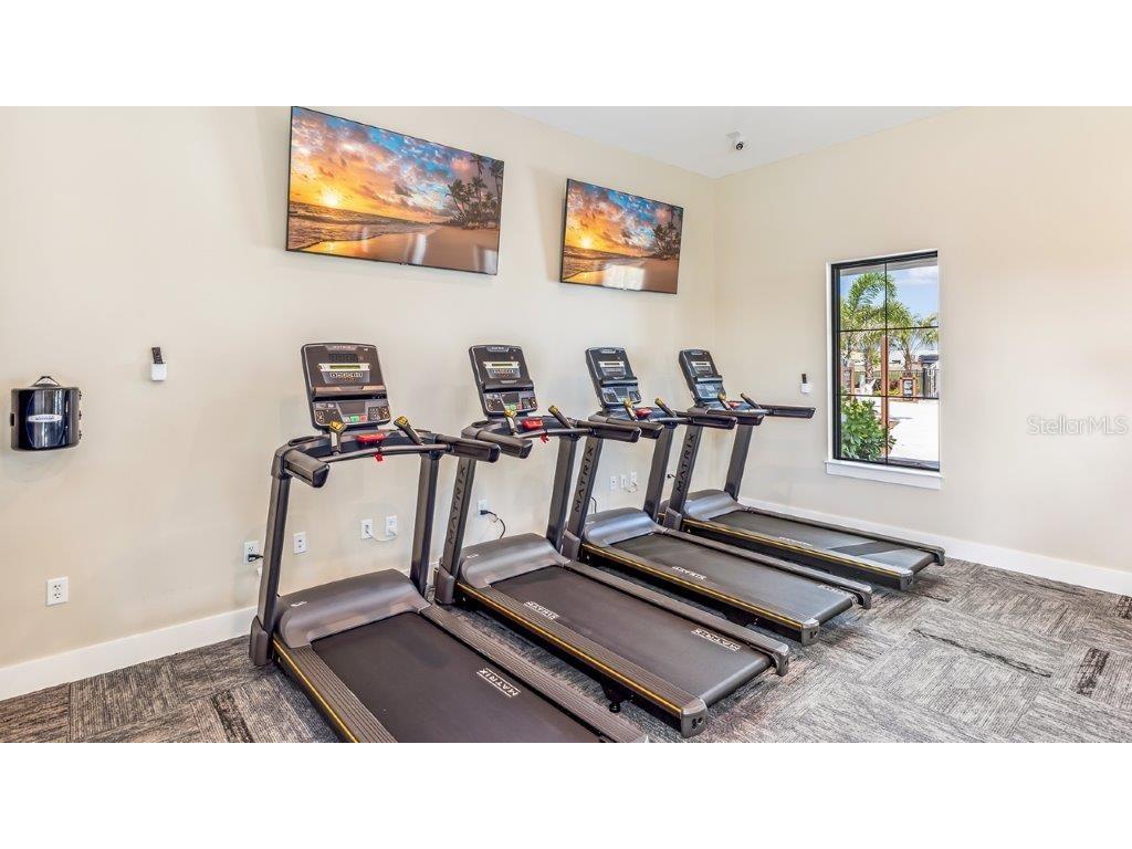 3723 Stormy Thistle Place Plant City FL 33565 TB8522742 image48