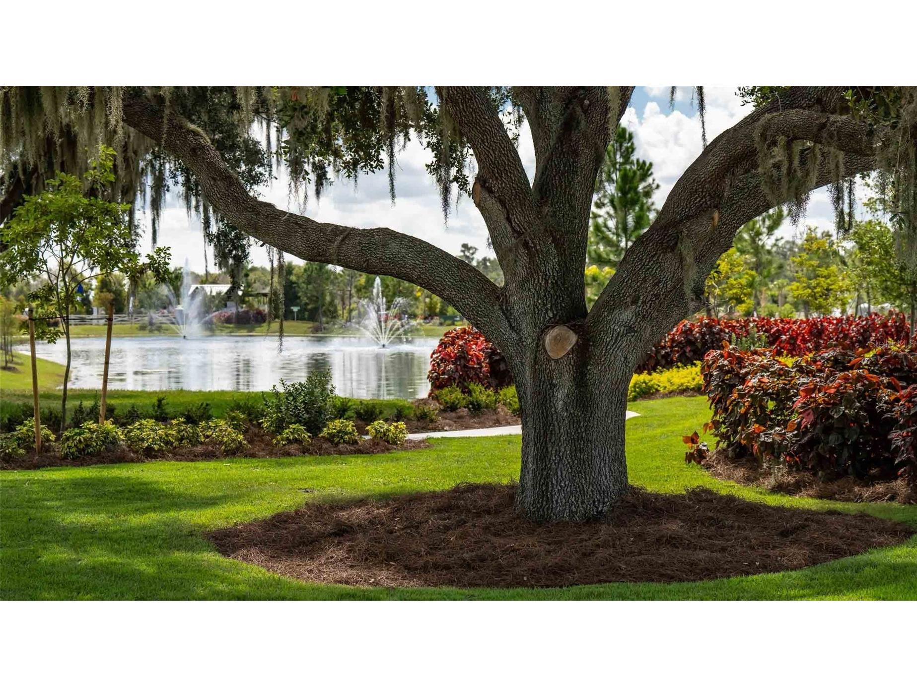 3723 Stormy Thistle Place Plant City FL 33565 TB8522742 image53