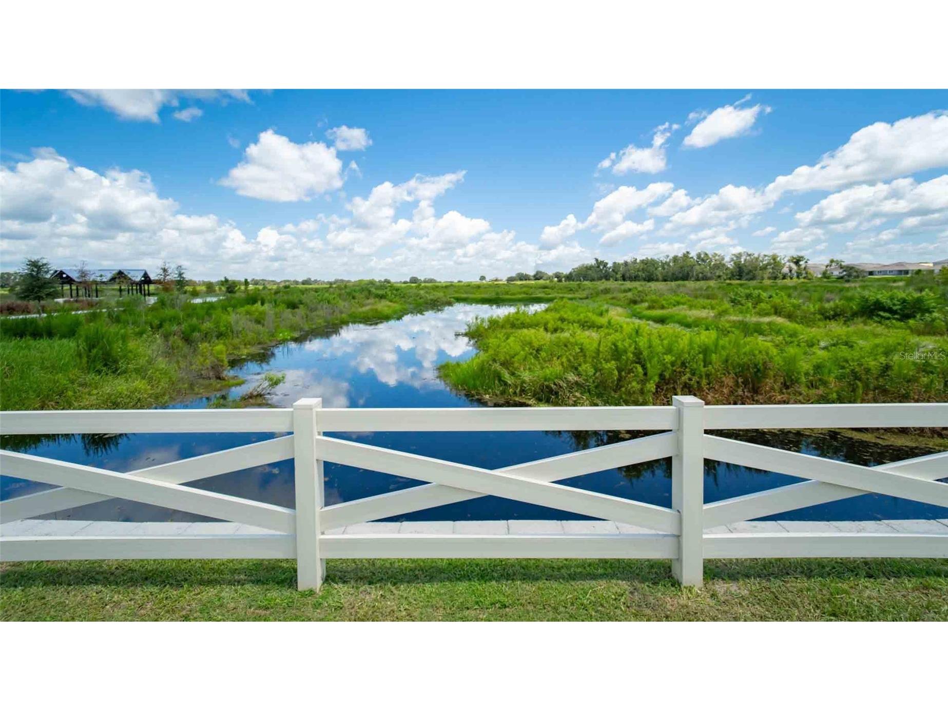 3723 Stormy Thistle Place Plant City FL 33565 TB8522742 image54