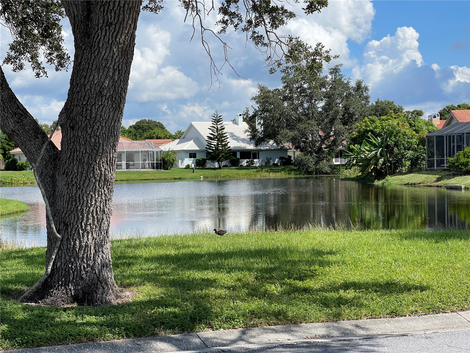 3724 71st Terrace E Sarasota FL 34243 A4692476 image42