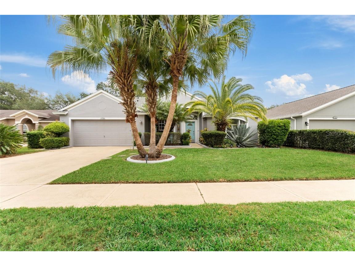 3724 Eaglewood Street Valrico FL 33596 T3486633 image1