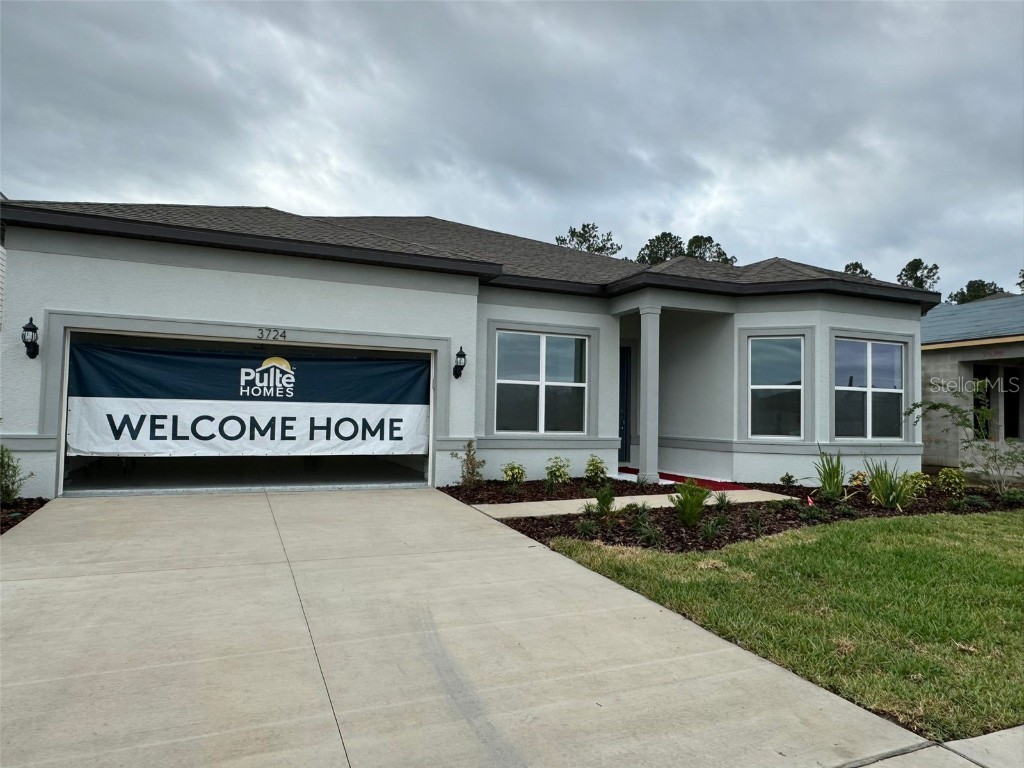 3724 Ivy Springs Lane Land O Lakes FL 34638 J975984 image1