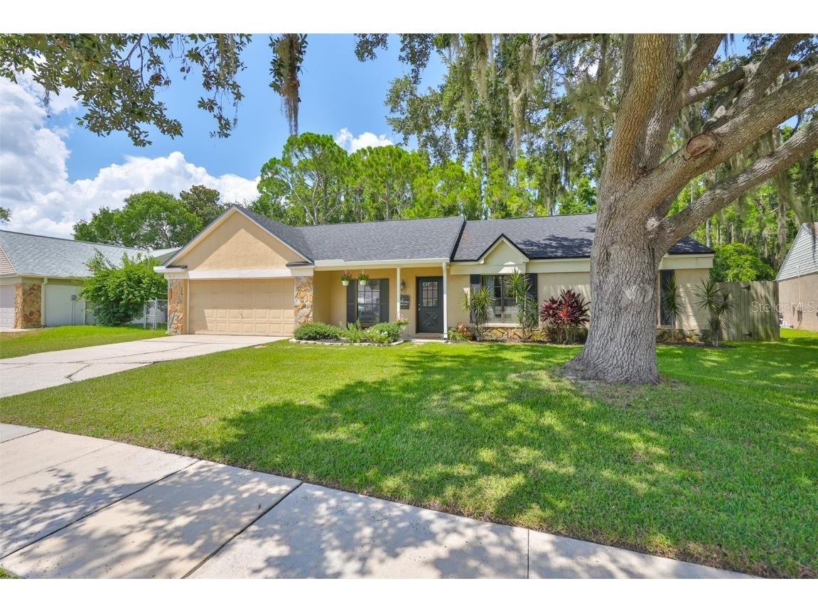 3724 Murray Dale Drive Valrico FL 33596 TB8415317 image1