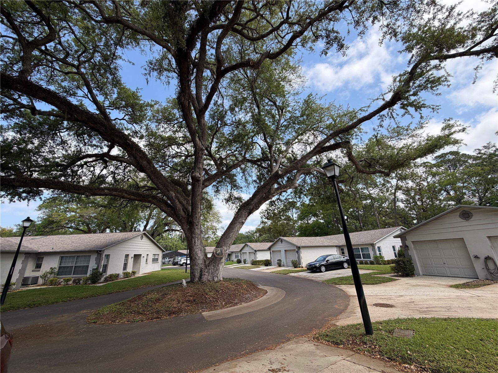 3724 River Oaks Ct New Port Richey FL 34655 TB8506038 image11