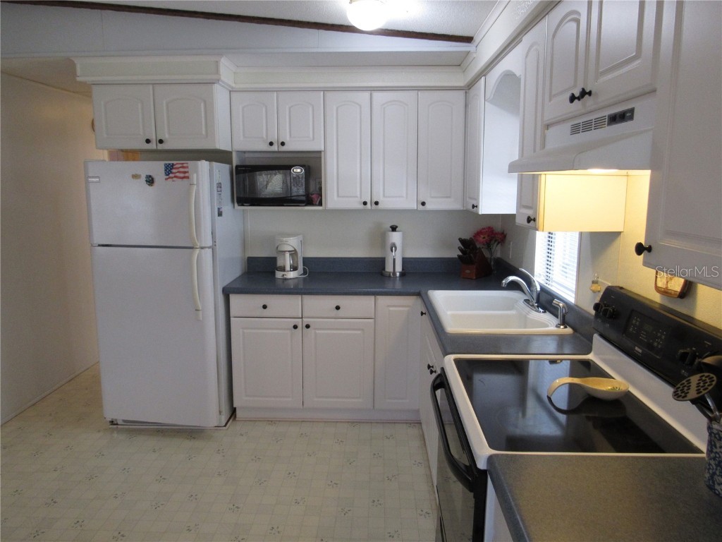 37241 Cora Avenue Zephyrhills FL 33542 T3517355 image10