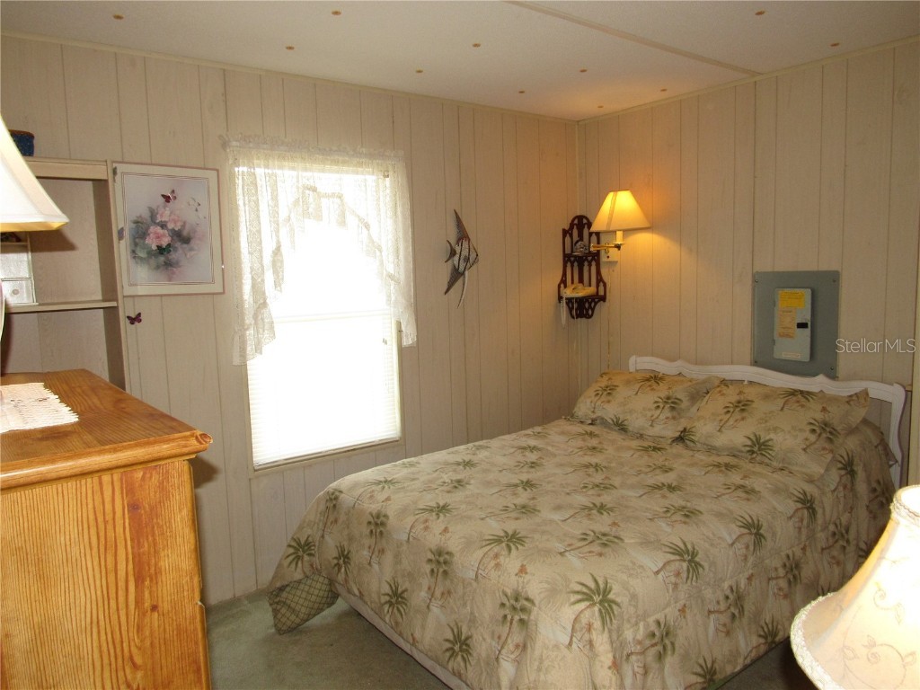 37241 Cora Avenue Zephyrhills FL 33542 T3517355 image25