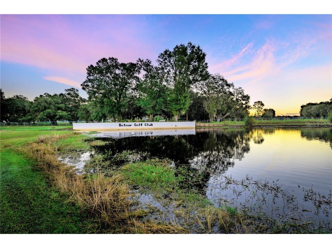 37246 Eileen Avenue Zephyrhills FL 33542 TB8360086 image32