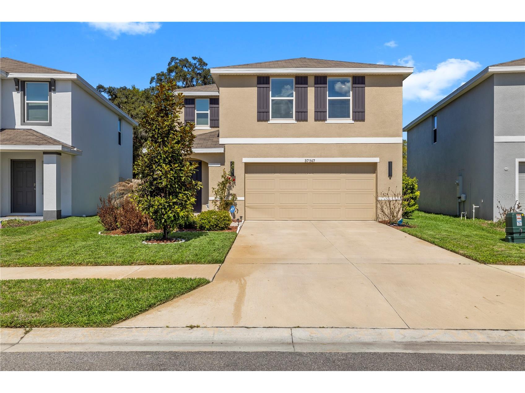 37247 Kings Crown Drive Zephyrhills FL 33541 TB8489589 image1