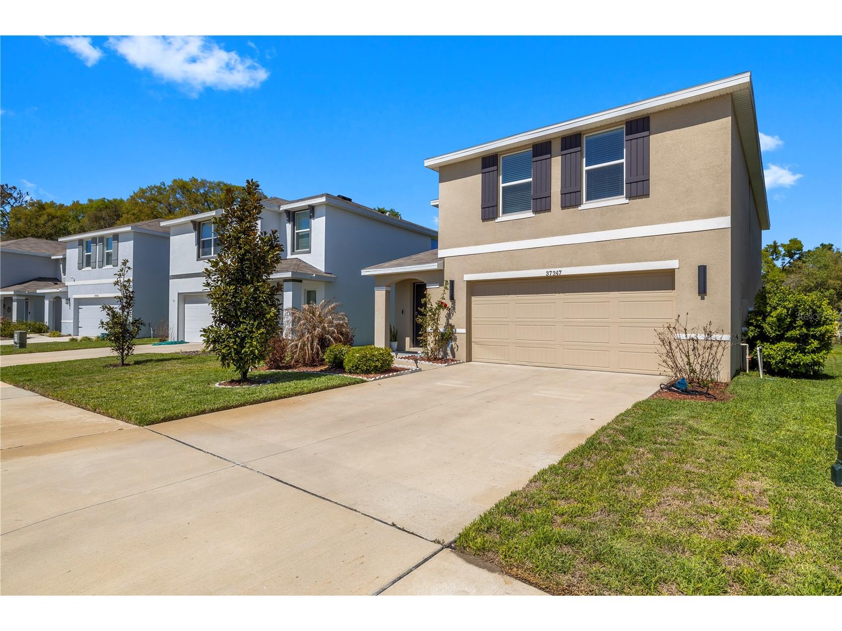 37247 Kings Crown Drive Zephyrhills FL 33541 TB8489589 image2