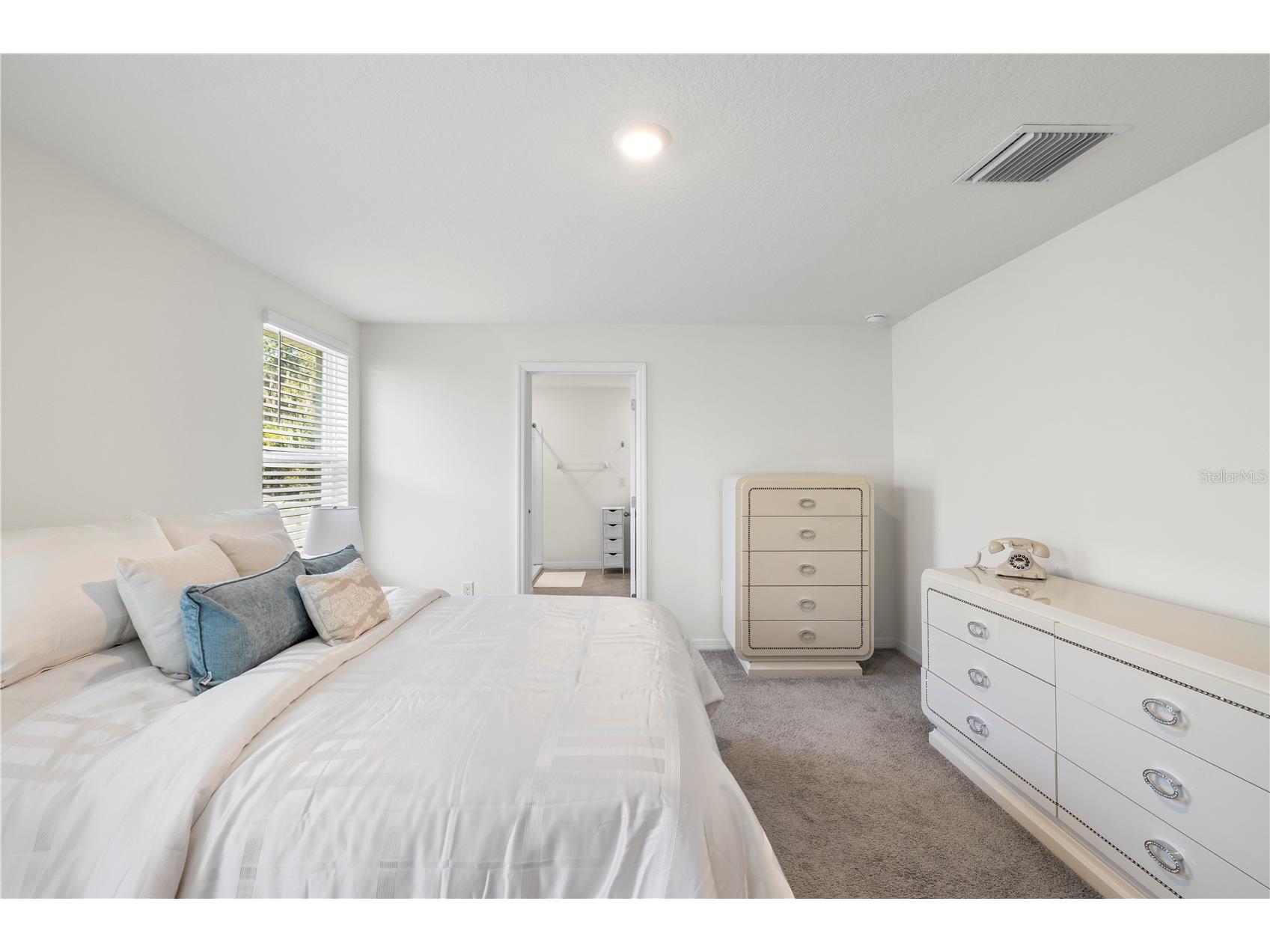 37247 Kings Crown Drive Zephyrhills FL 33541 TB8489589 image21