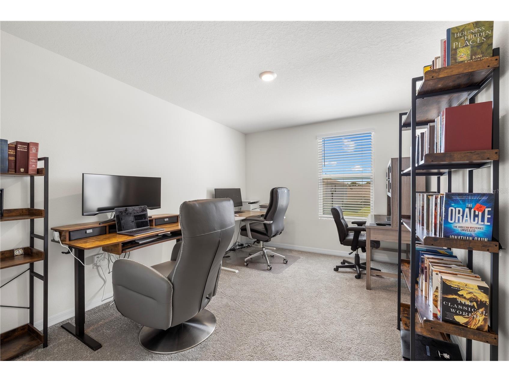 37247 Kings Crown Drive Zephyrhills FL 33541 TB8489589 image34