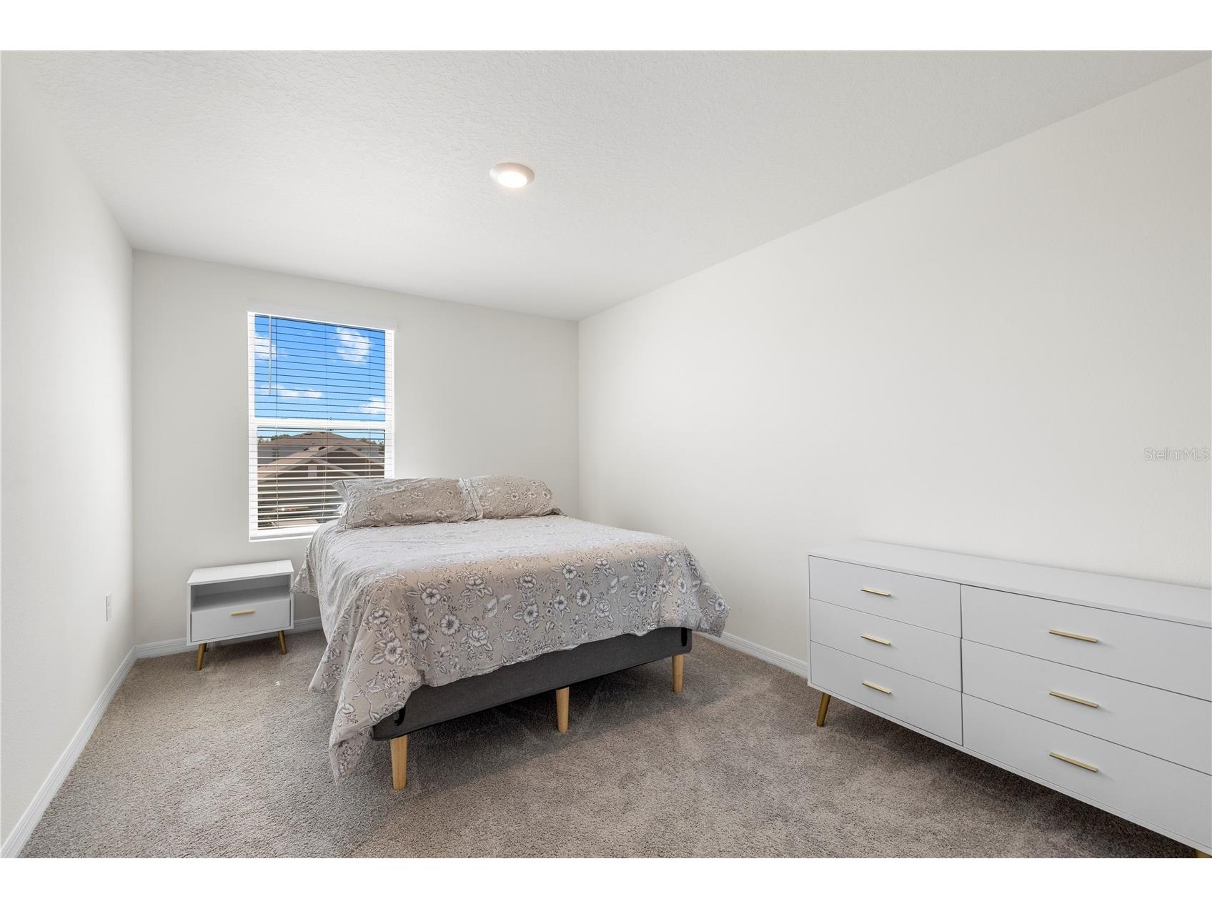 37247 Kings Crown Drive Zephyrhills FL 33541 TB8489589 image36