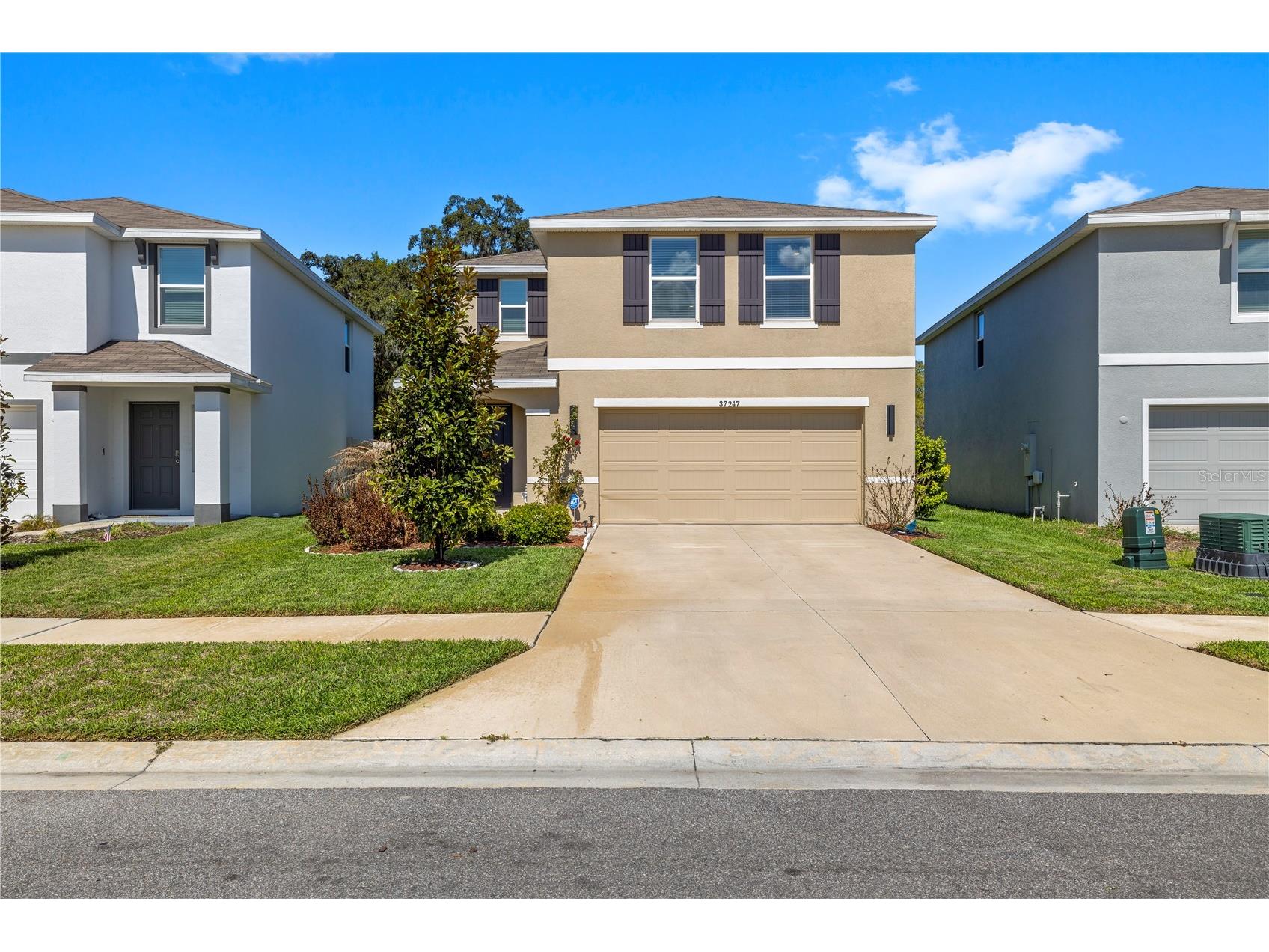 37247 Kings Crown Drive Zephyrhills FL 33541 TB8489589 image43