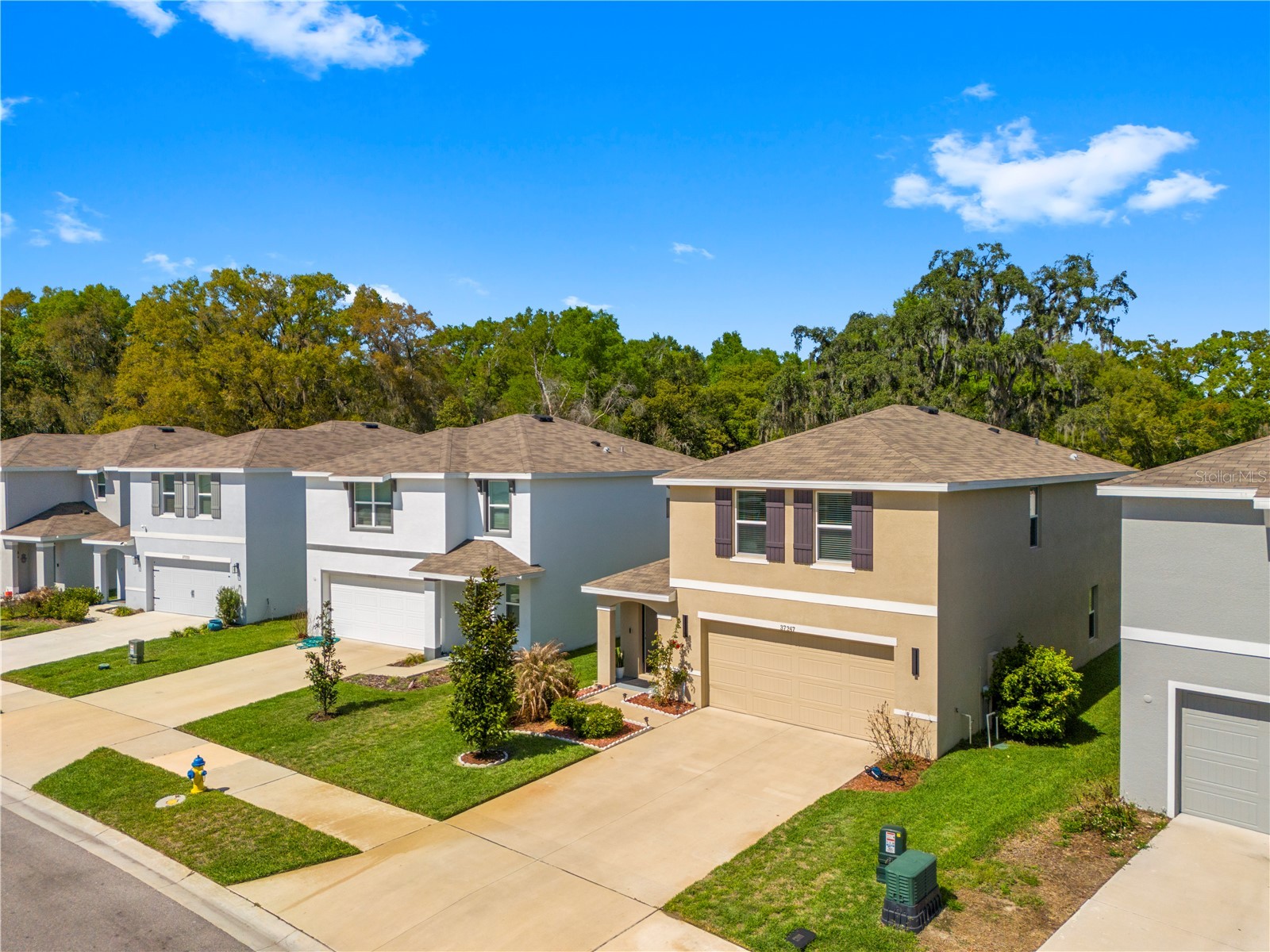 37247 Kings Crown Drive Zephyrhills FL 33541 TB8489589 image48