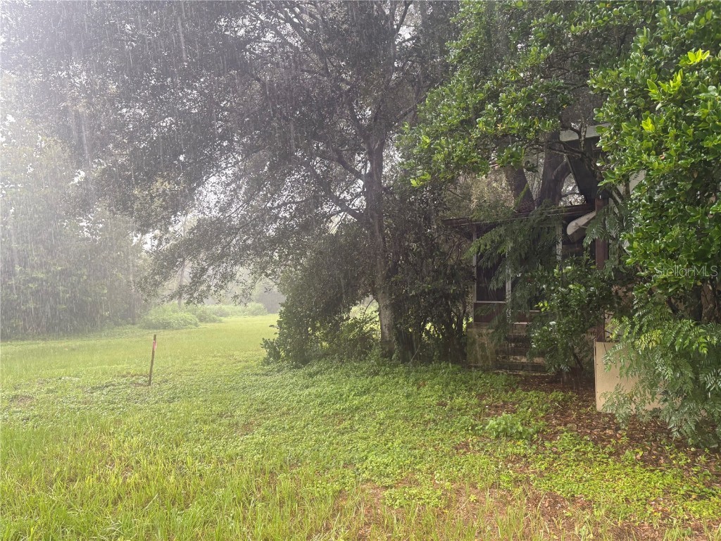 37247 Northside Drive Zephyrhills FL 33541 TB8433441 image11