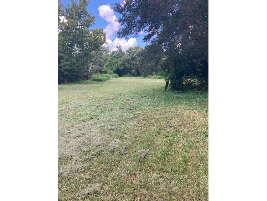 37247 Northside Drive Zephyrhills FL 33541 TB8433441 image17