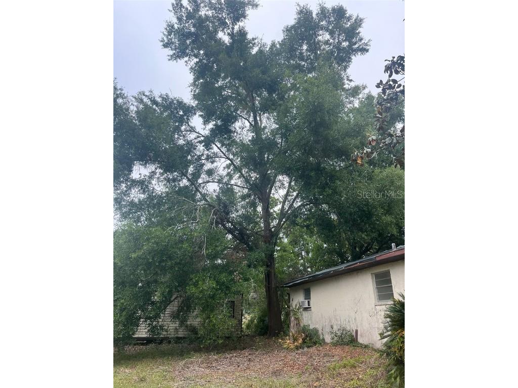 37247 Northside Drive Zephyrhills FL 33541 TB8433441 image4