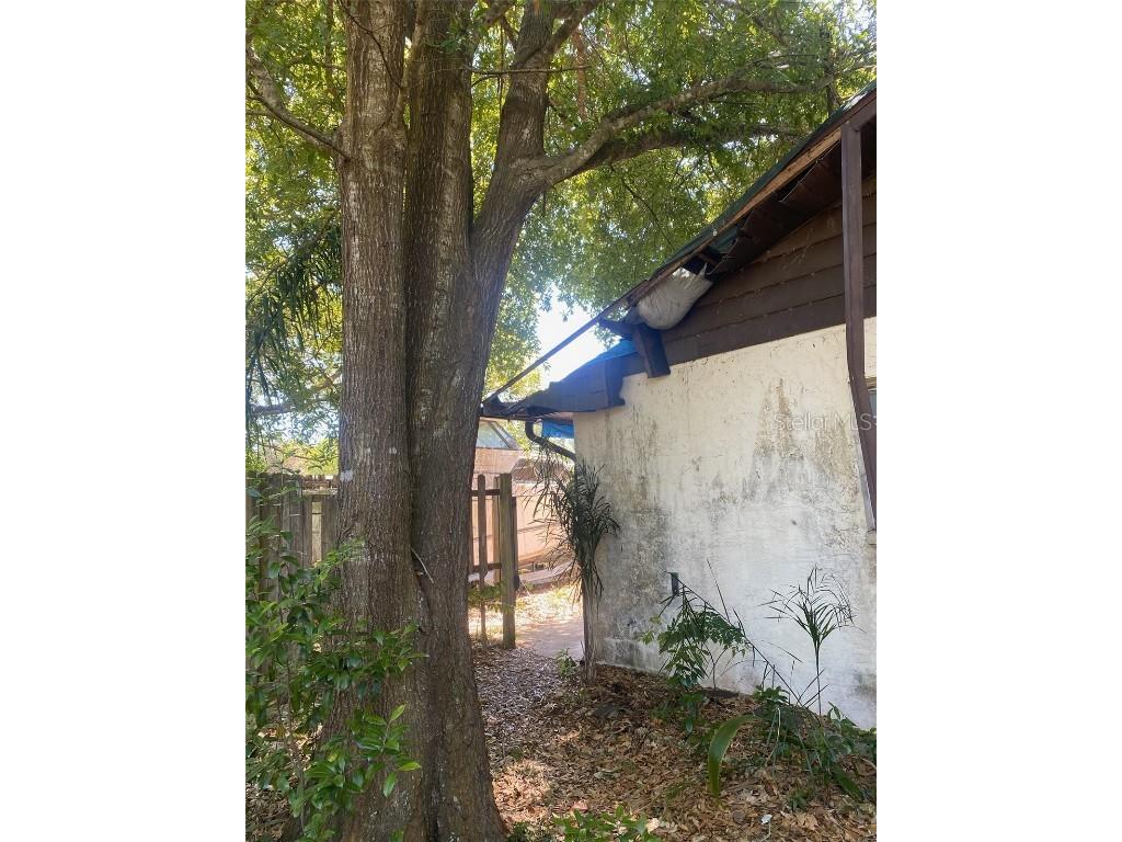 37247 Northside Drive Zephyrhills FL 33541 TB8433441 image6