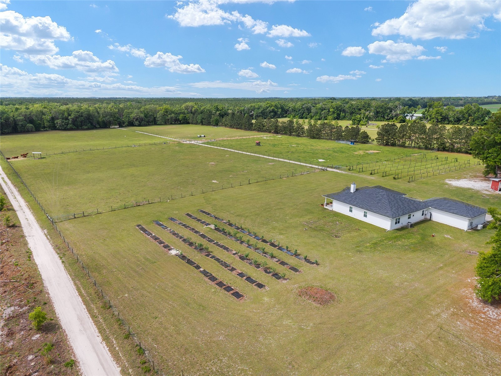 3725 172nd Street Wellborn FL 32094 GC539498 image14