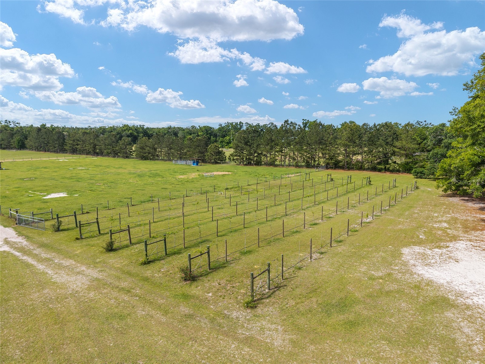 3725 172nd Street Wellborn FL 32094 GC539498 image15