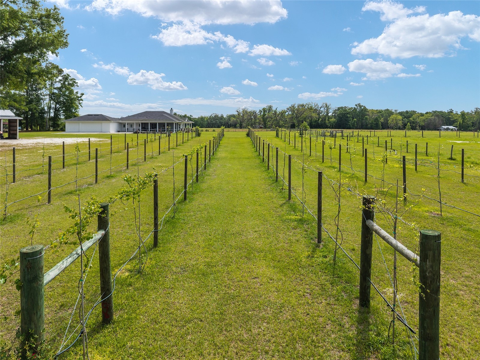 3725 172nd Street Wellborn FL 32094 GC539498 image16