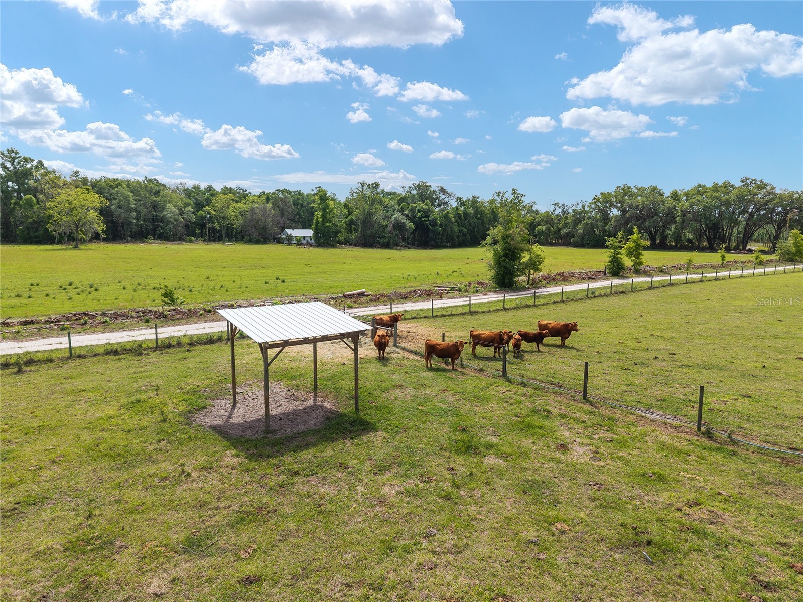3725 172nd Street Wellborn FL 32094 GC539498 image19