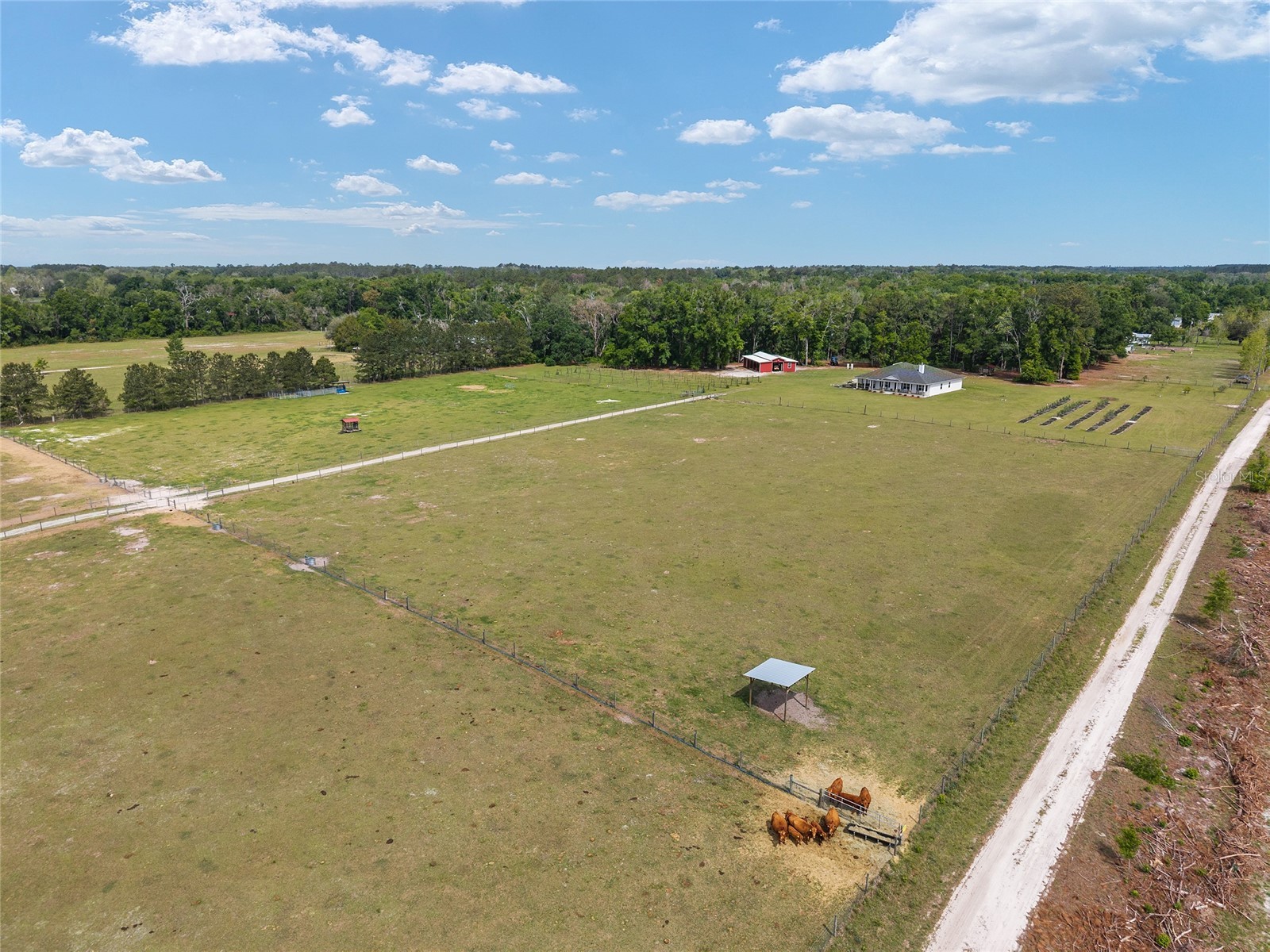 3725 172nd Street Wellborn FL 32094 GC539498 image20