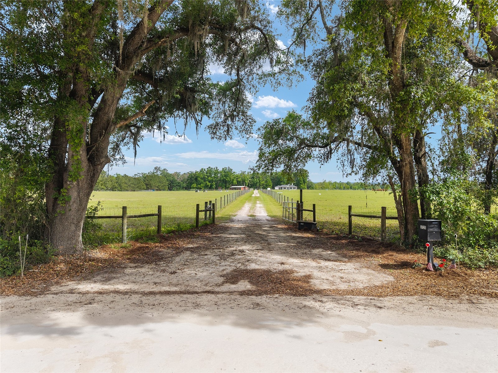 3725 172nd Street Wellborn FL 32094 GC539498 image4