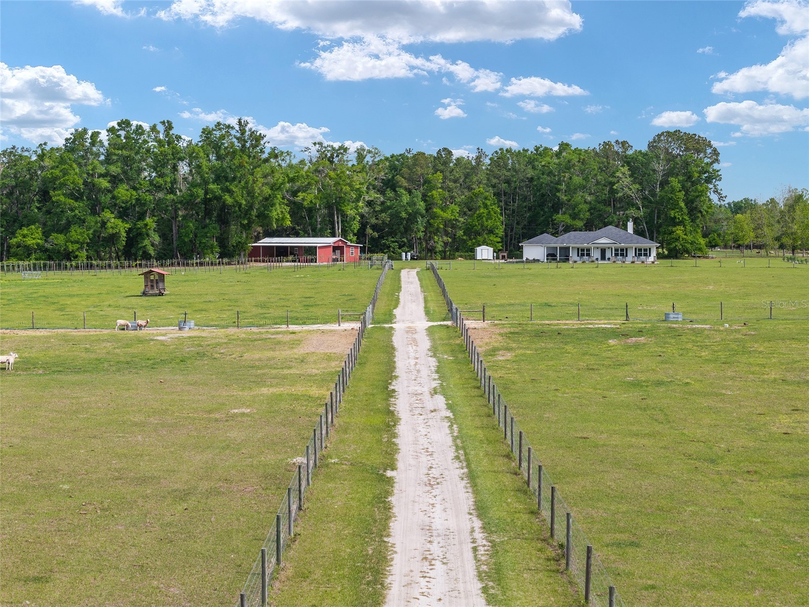 3725 172nd Street Wellborn FL 32094 GC539498 image5