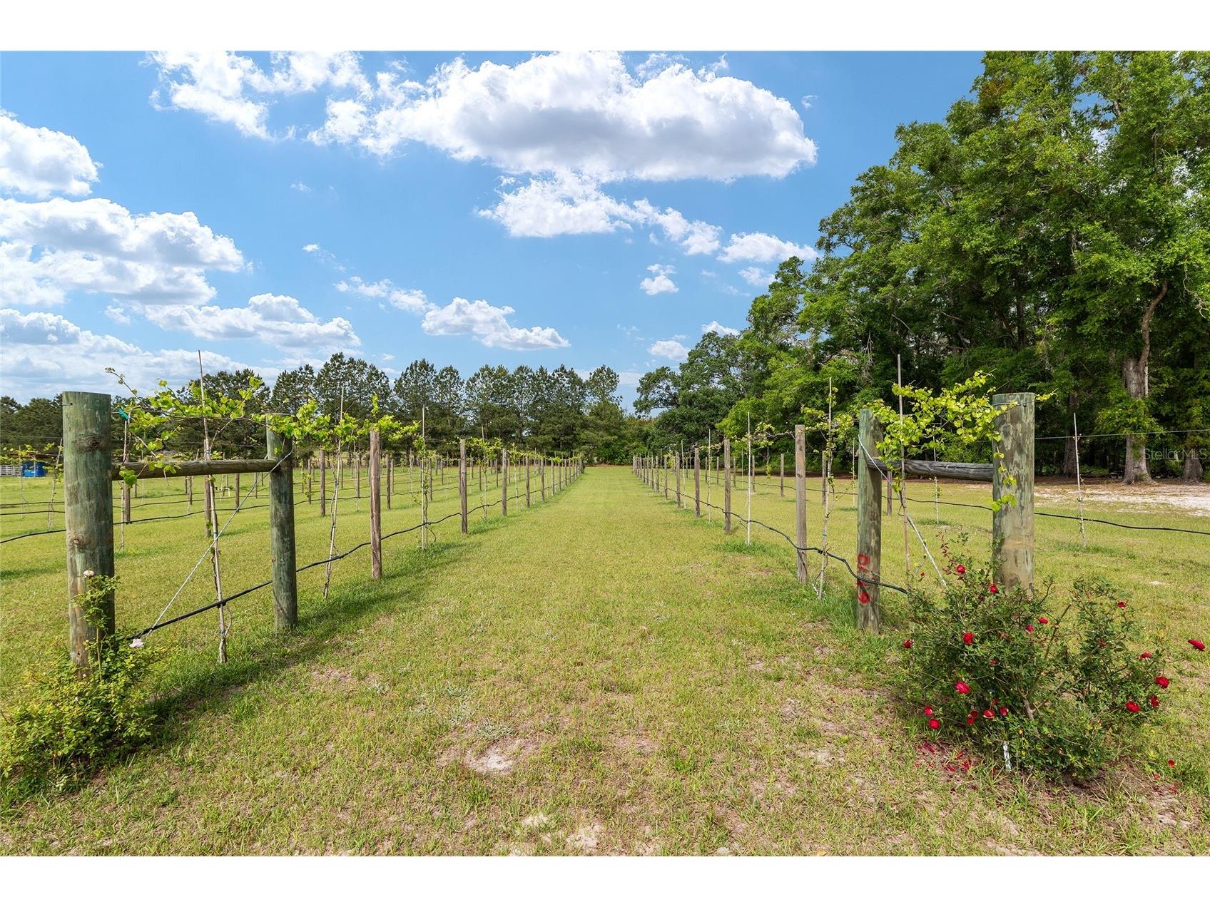 3725 172nd Street Wellborn FL 32094 GC539498 image90