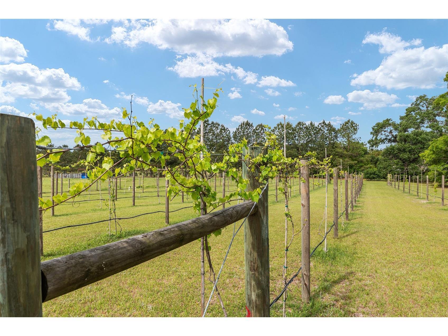 3725 172nd Street Wellborn FL 32094 GC539498 image91