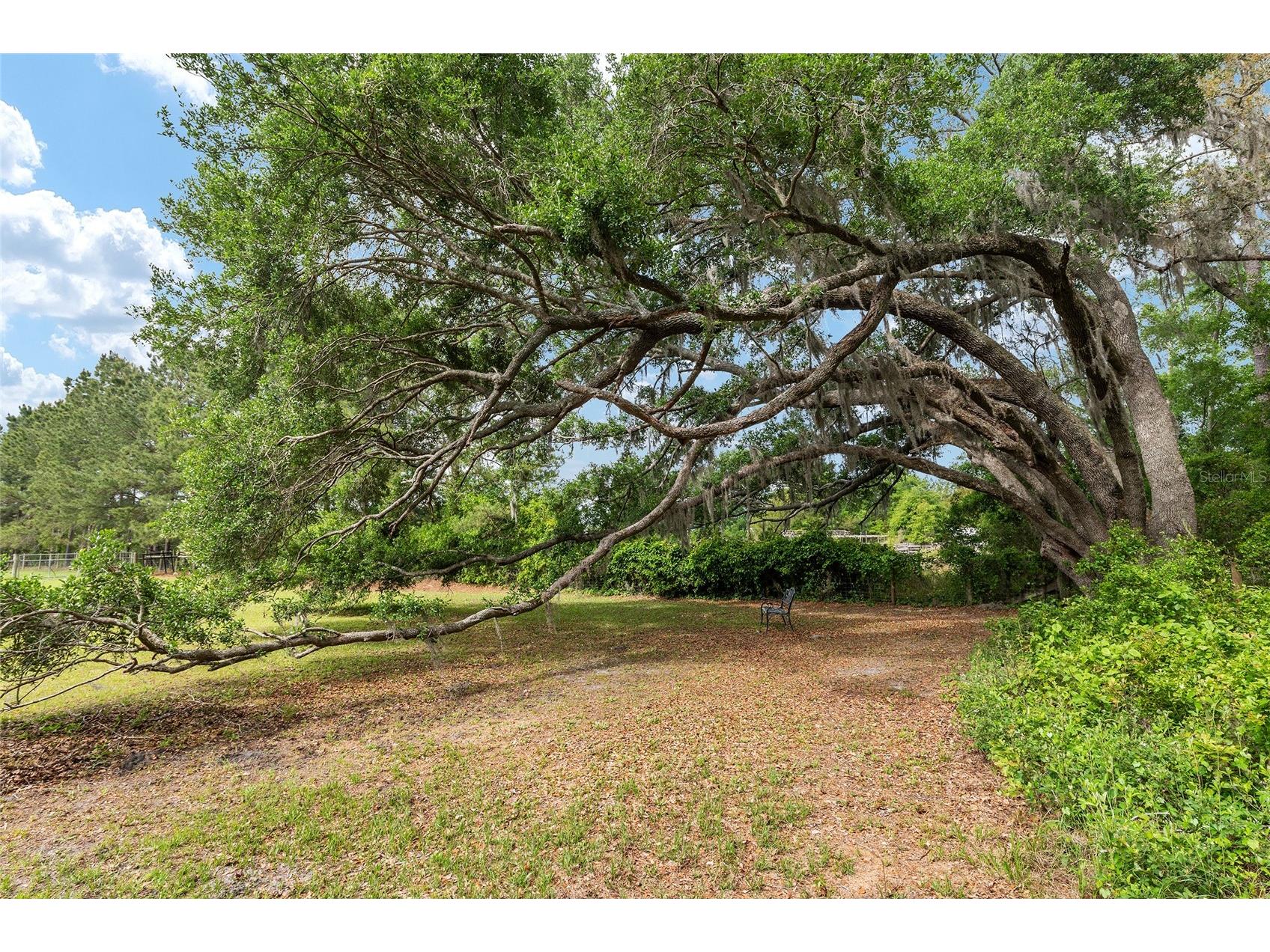 3725 172nd Street Wellborn FL 32094 GC539498 image92