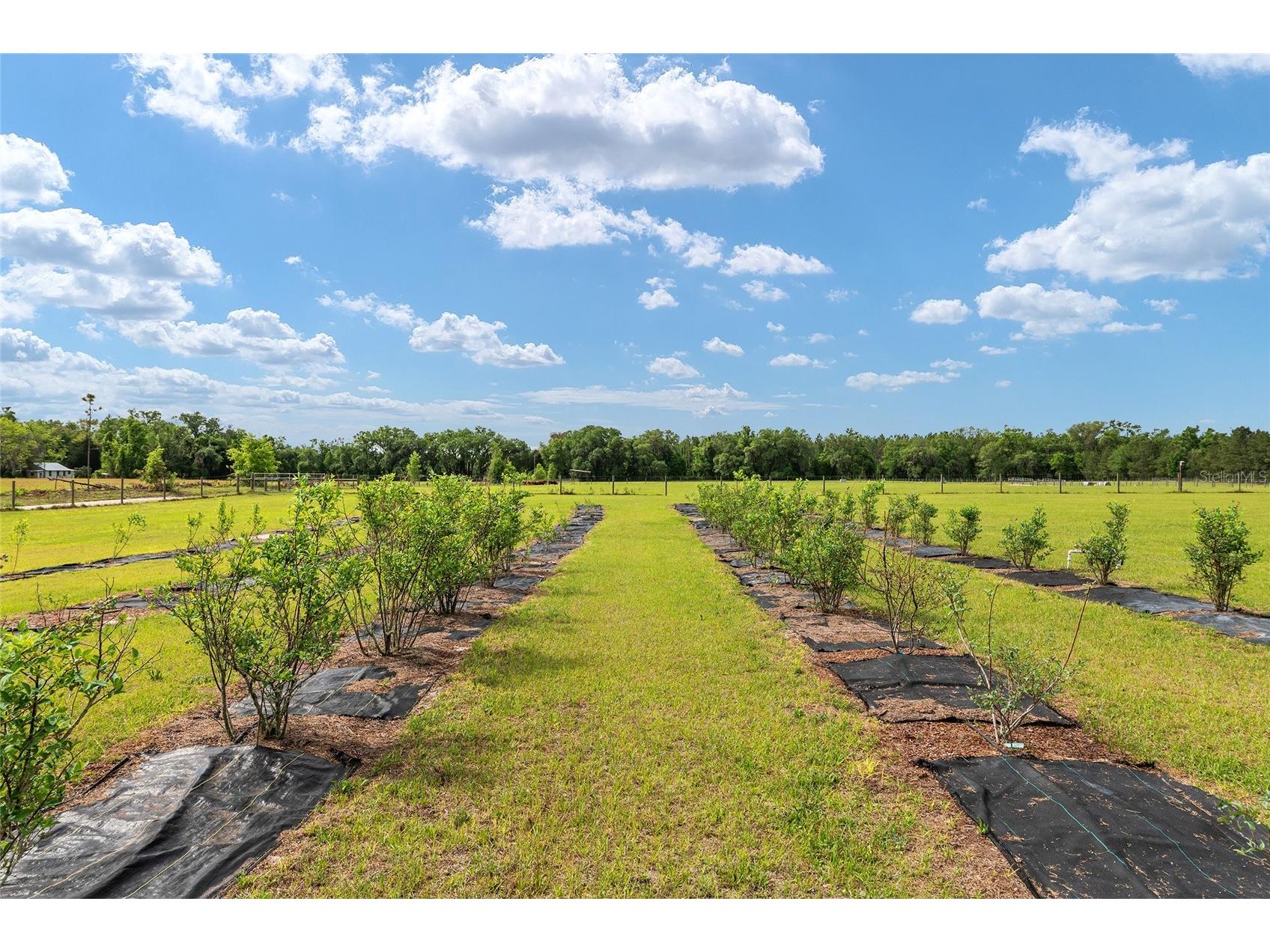 3725 172nd Street Wellborn FL 32094 GC539498 image95