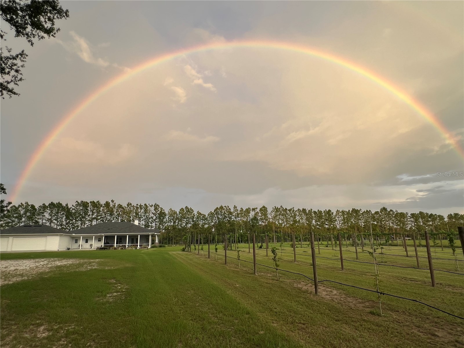 3725 172nd Street Wellborn FL 32094 GC539498 image96